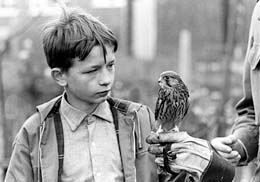 Kes (Ken Loach, 1969)
